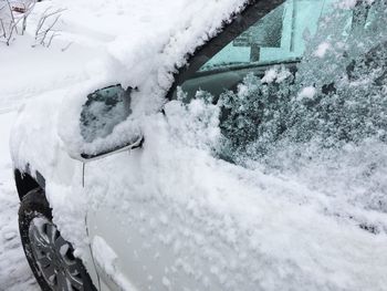 Close-up of snow on tree