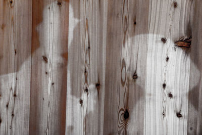 Close-up of wooden door