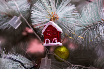 Close-up of christmas decoration