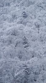 Full frame shot of snow