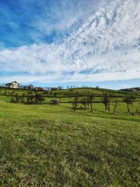 Scenic view of field against sky