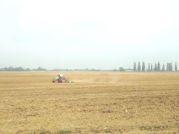 Scenic view of agricultural field against clear sky