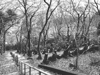 Bare trees in park