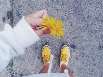 Low section of person standing on yellow flower