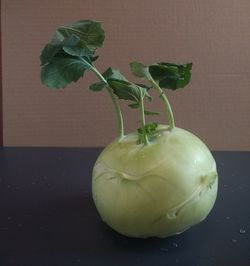 Close-up of fruit on table