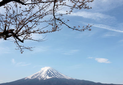 Scenic view of snowcapped mountain against sky