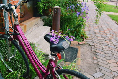 High angle view of bicycle in yard