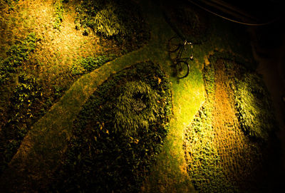 Illuminated lights at night