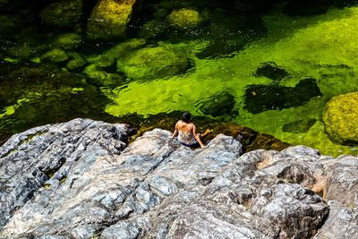 Ducks on rock by lake