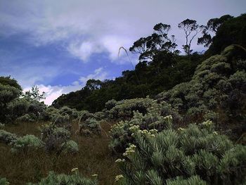 Scenic view of mountain against cloudy sky