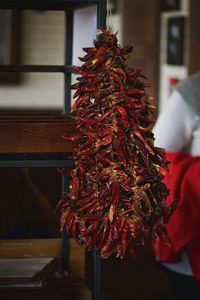 Close-up of christmas tree