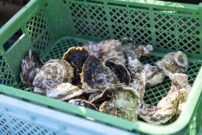 High angle view of food on barbecue grill