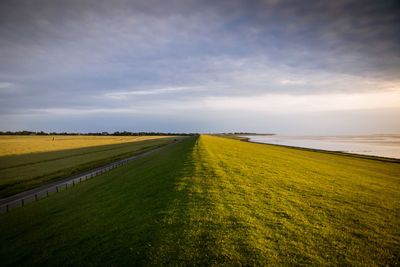 Scenic view of landscape against sky