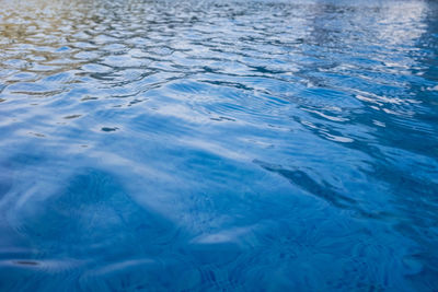 High angle view of swimming pool