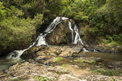 Scenic view of waterfall in forest