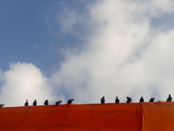 Low angle view of pigeons perching on roof