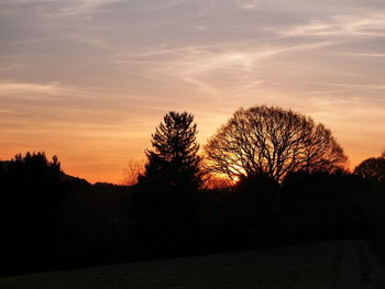 Silhouette trees against sky during sunset