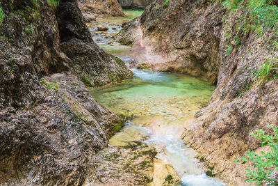 Stream flowing through rocks in forest