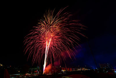 Low angle view of firework display at night