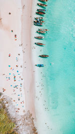 Aerial view of beach