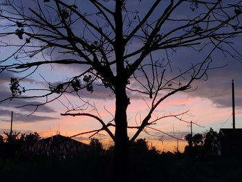 Silhouette bare tree against sky at sunset