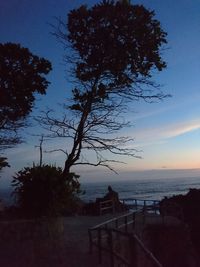 Silhouette tree on beach against sky at sunset