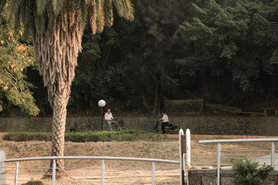 View of trees on plants by railing