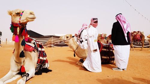 Panoramic view of people walking in desert