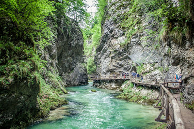 Stream flowing through rocks in forest