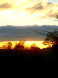 Silhouette trees against sky during sunset