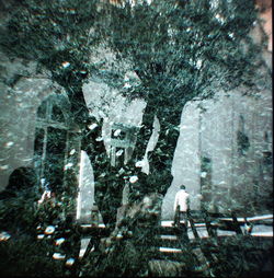 Woman standing on tree trunk