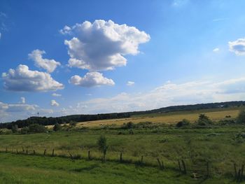 Scenic view of field against sky