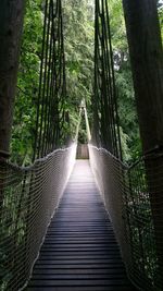 View of footbridge in forest