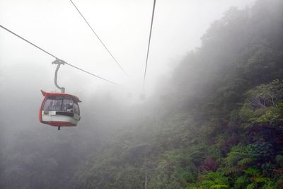 Overhead cable car in forest