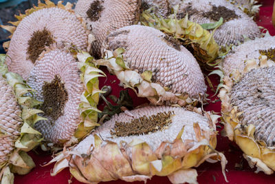 High angle view of fish for sale in market