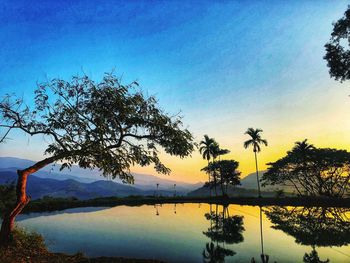 Silhouette trees by lake against sky during sunset