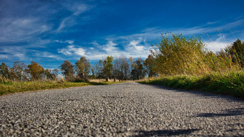 Surface level of road amidst trees against sky