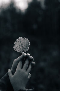 Close-up of hand holding ice cream