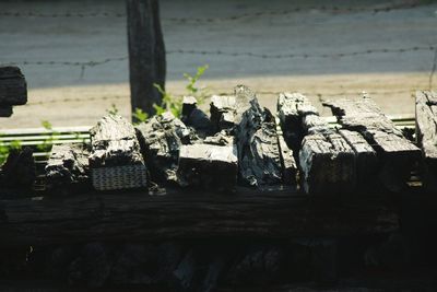 Close-up of wooden logs on rock