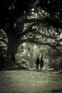 People walking on tree