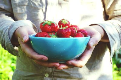 Midsection of person holding fruits in bowl