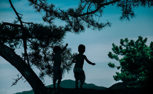 Silhouette boy and tree against sky