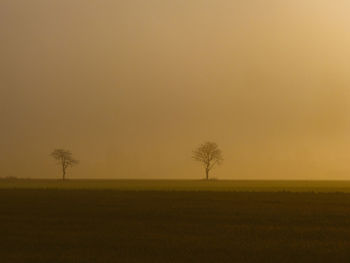 Scenic view of field against sky during sunset