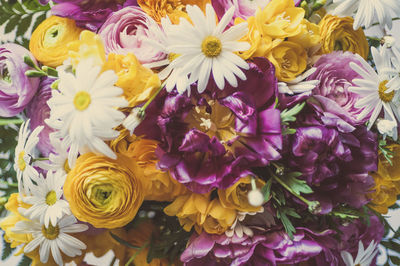 Close-up of yellow flowers