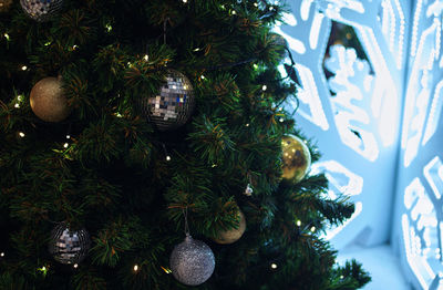 Close-up of christmas tree