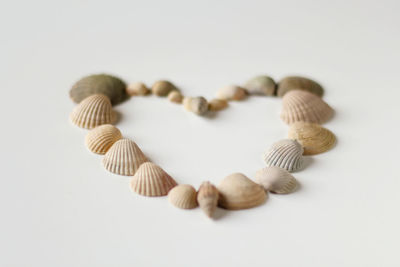 shell