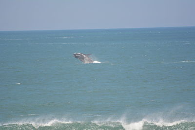 Scenic view of sea against clear sky