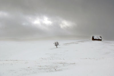 Scenic view of snowcapped field against sky