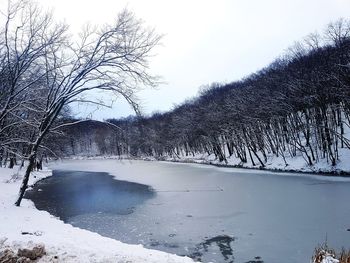 Bare trees on snow covered landscape against clear sky