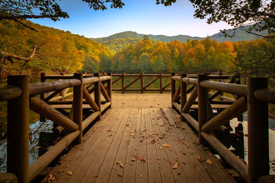 Wooden footbridge amidst trees against sky during autumn